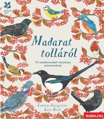 Madarat tolláról - 10 madármodell részletes ismertetővel - Kiapattintható oldalakkal