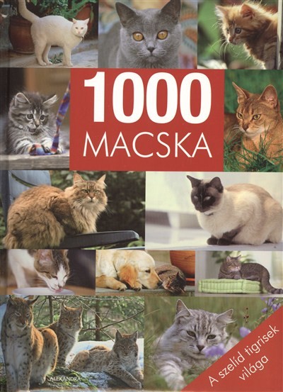 1000 MACSKA /A SZELÍD TIGRISEK VILÁGA