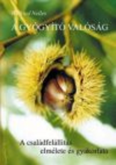 A GYÓGYÍTÓ VALÓSÁG