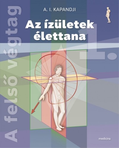 Az ízületek élettana I-III. (6. kiadás)