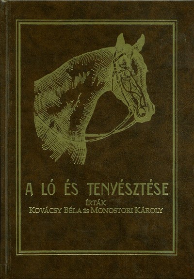 A LÓ ÉS TENYÉSZTÉSE