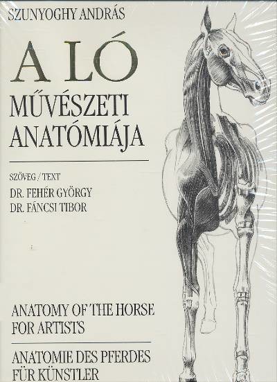 A LÓ MŰVÉSZETI ANATÓMIÁJA