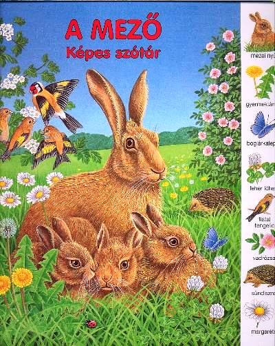 A MEZŐ /KÉPES SZÓTÁR
