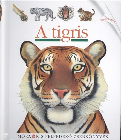 A tigris /Kis felfedező zsebkönyvek