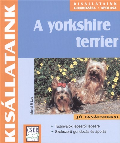 A YORKSHIRE TERRIER /KISÁLLATAINK