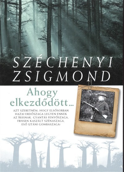 AHOGY ELKEZDŐDÖTT...