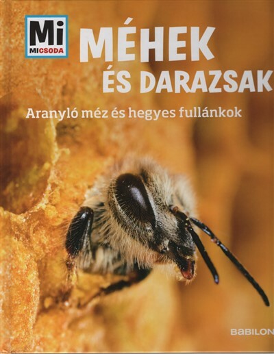 Méhek és darazsak – Mi MICSODA - Aranyló méz és hegyes fullánkok - MI MICSODA