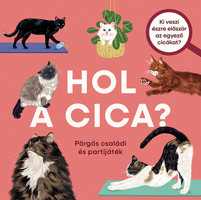 Hol a cica? - Pörgős családi és partijáték