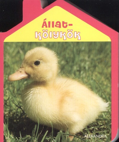 Állatkölykök
