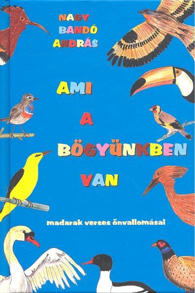 AMI A BÖGYÜNKBEN VAN /MADARAK VERSES ÖNVALLOMÁSAI