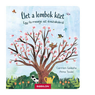 Élet a lombok közt / Egy fa meséje az évszakokról