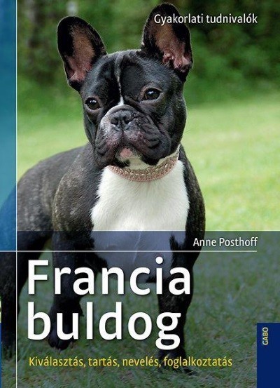 Francia bulldog - Gyakorlati tudnivalók /Kiválasztás, tartás, nevelés, foglalkoztatás