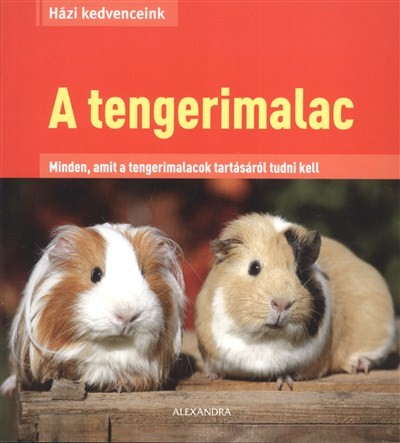 A tengerimalac - Minden, amit a tengerimalacok tartásáról tudni kell /Házi kedvenceink