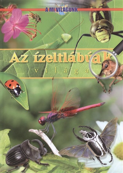 AZ ÍZELTLÁBÚAK VILÁGA /A MI VILÁGUNK