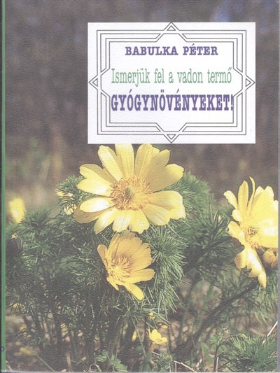 Ismerjük fel a vadon termő gyógynövényeket!