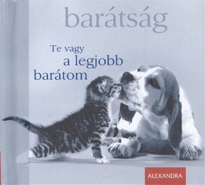 BARÁTSÁG - TE VAGY A LEGJOBB BARÁTOM