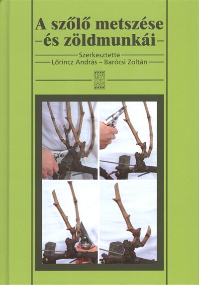 A szőlő metszése és zöldmunkái