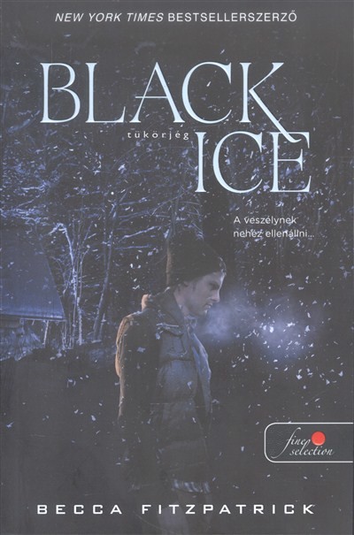 Black Ice - Tükörjég