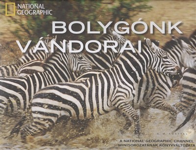 BOLYGÓNK VÁNDORAI