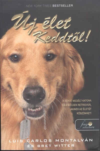 ÚJ ÉLET KEDDTŐL!