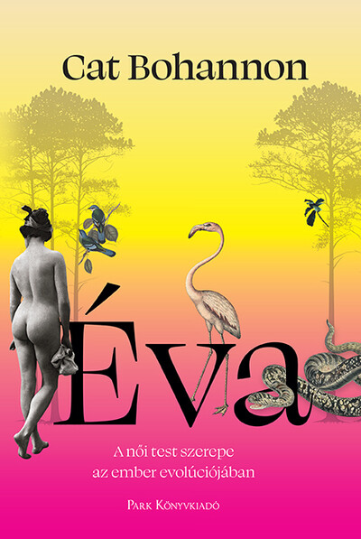 Éva - A női test meghatározó szerepe az ember evolúciójában