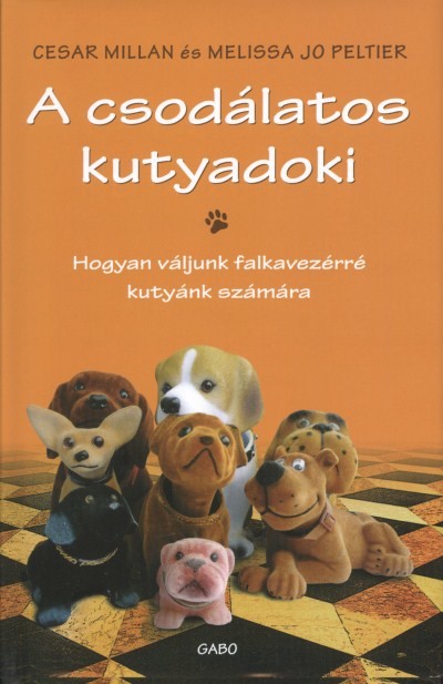 A CSODÁLATOS KUTYADOKI /HOGYAN VÁLJUNK FALKAVEZÉRRÉ KUTYÁINK SZÁMÁRA