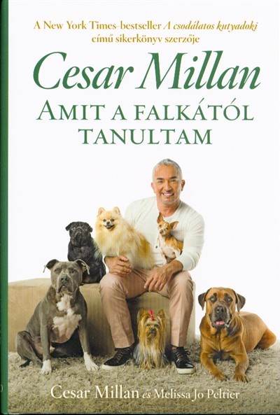Amit a falkától tanultam