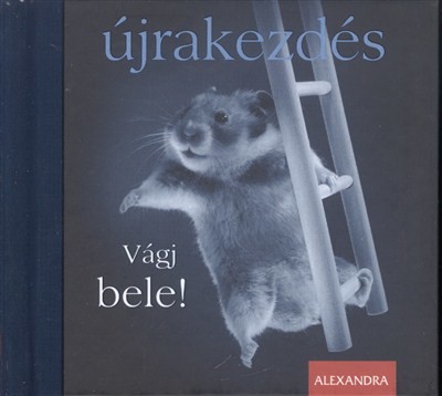 ÚJRAKEZDÉS - VÁGJ BELE!