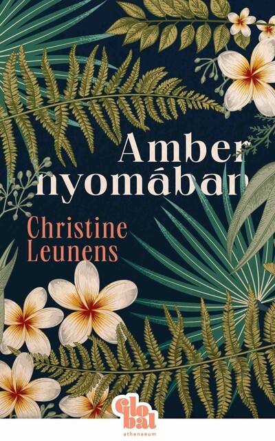 Amber nyomában - Globál