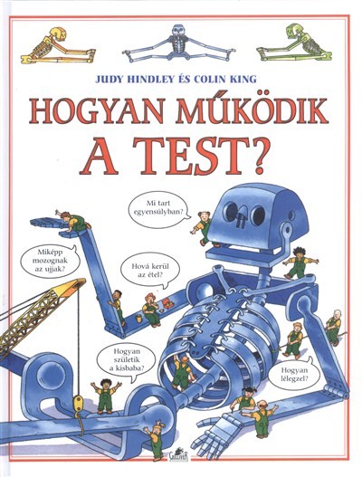 Hogyan működik a test?