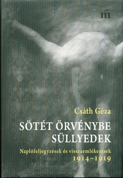 Sötét örvénybe süllyedek /Naplófeljegyzések és visszaemlékezések 1914-1919.