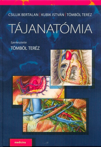 Tájanatómia