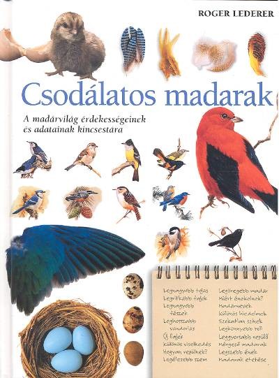 CSODÁLATOS MADARAK