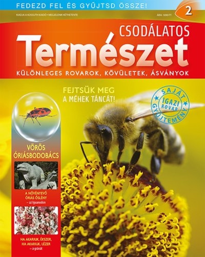 CSODÁLATOS TERMÉSZET 02. - KÜLÖNLEGES ROVAROK, KÖVÜLETEK, ÁSVÁNYOK /ÓRIÁSBODOBÁCS