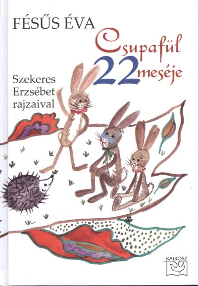 CSUPAFÜL 22 MESÉJE