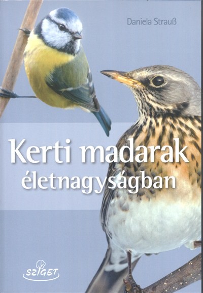 Kerti madarak életnagyságban