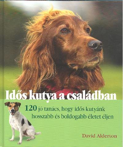 IDŐS KUTYA A CSALÁDBAN