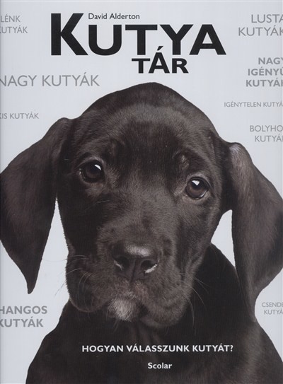 KUTYATÁR /HOGYAN VÁLASSZUNK KUTYÁT?