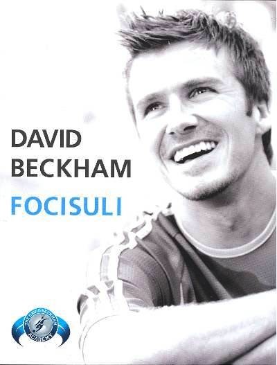 Focisuli