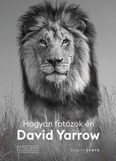 Hogyan fotózok én - David Yarrow - A fotográfia mesterei