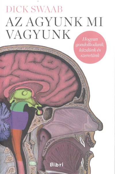 AZ AGYUNK MI VAGYUNK /HOGYAN GONDOLKODUNK, KÜZDÜNK ÉS SZERETÜNK