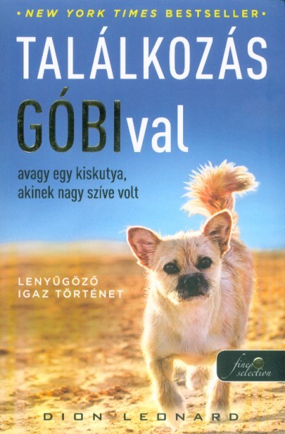 Találkozás Góbival, avagy egy kiskutya, akinek nagy szíve volt