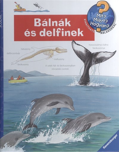 BÁLNÁK ÉS DELFINEK /MIT? MIÉRT? HOGYAN? 37.