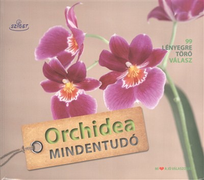 ORCHIDEA MINDENTUDÓ /99 LÉNYEGRE TÖRŐ VÁLASZ