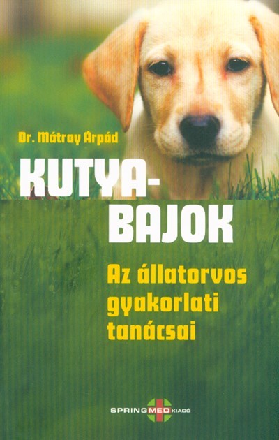 Kutyabajok - Az állatorvos gyakorlati tanácsai