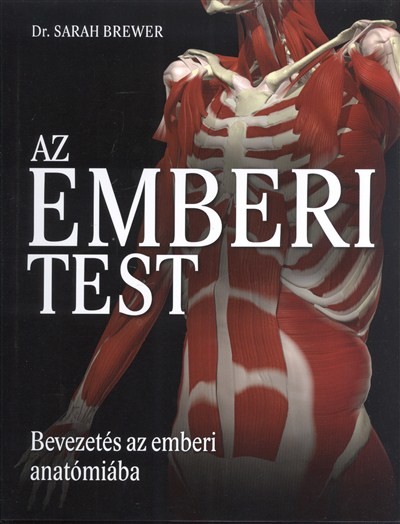 Az emberi test /Bevezetés az emberi anatómiába