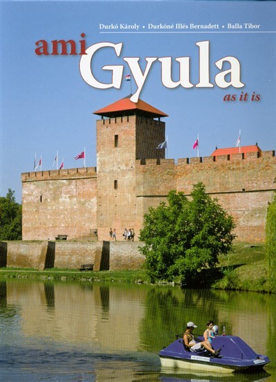 AMI GYULA (2 FÉLE BORÍTÓVAL)