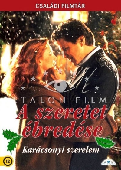 A SZERETET ÉBREDÉSE - KARÁCSONYI SZERELEM /CSALÁDI FILMTÁR