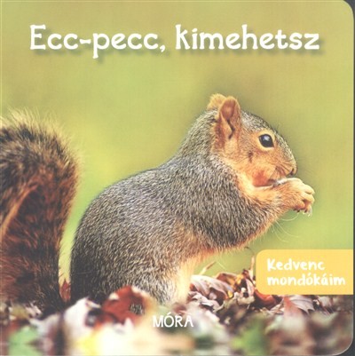 Ecc-pecc, kimehetsz /Kedvenc móndókáim
