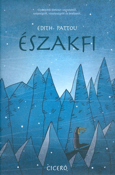 Északfi
